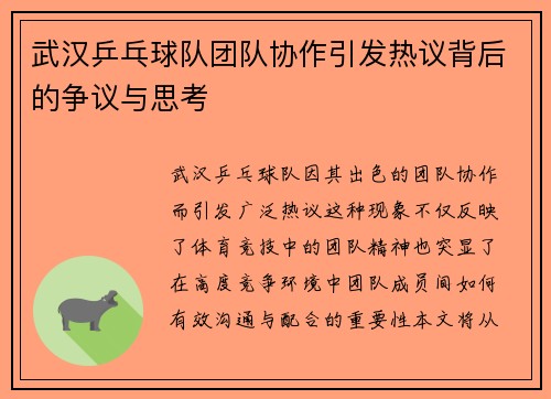 武汉乒乓球队团队协作引发热议背后的争议与思考